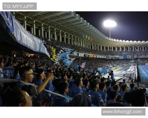 香港足球观赛体验：激情与团结的完美结合，感受绿茵场上的热血沸腾